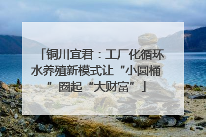 铜川宜君：工厂化循环水养殖新模式让“小圆桶”圈起“大财富”