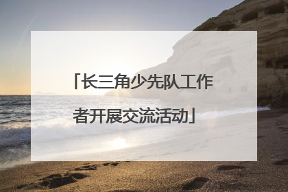 长三角少先队工作者开展交流活动