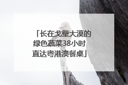 长在戈壁大漠的绿色蔬菜38小时直达粤港澳餐桌