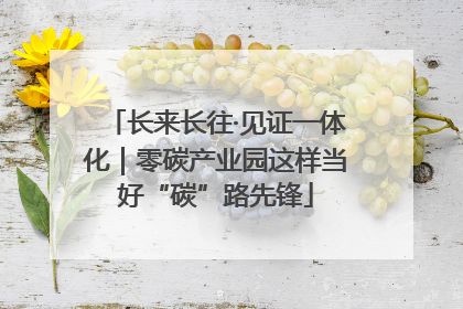 长来长往·见证一体化｜零碳产业园这样当好“碳”路先锋
