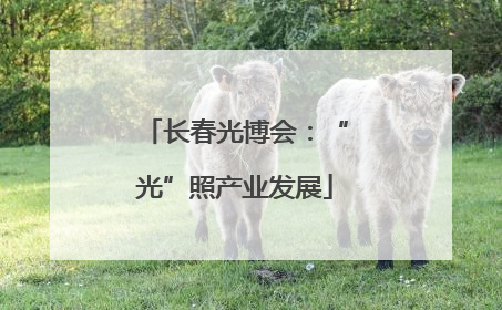长春光博会：“光”照产业发展