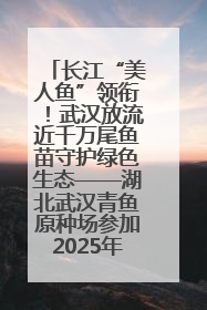 长江“美人鱼”领衔！武汉放流近千万尾鱼苗守护绿色生态——湖北武汉青鱼原种场参加2025年“全国放鱼日”增殖放流活动