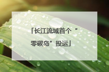 长江流域首个“零碳岛”投运