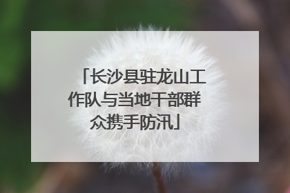 长沙县驻龙山工作队与当地干部群众携手防汛