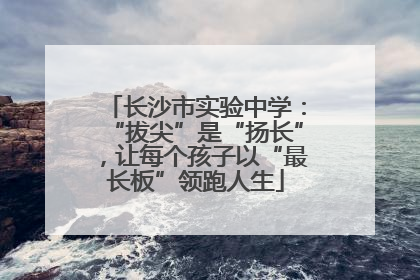 长沙市实验中学：“拔尖”是“扬长”，让每个孩子以“最长板”领跑人生