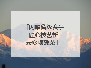 闪耀省级赛事  匠心技艺斩获多项殊荣