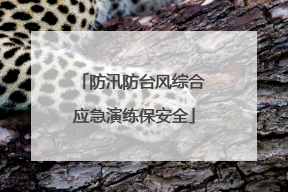 防汛防台风综合应急演练保安全