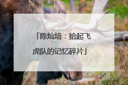 陈灿培：拾起飞虎队的记忆碎片