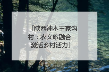 陕西神木王家沟村：农文旅融合 激活乡村活力