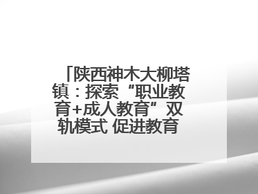 陕西神木大柳塔镇：探索“职业教育+成人教育”双轨模式 促进教育融合发展