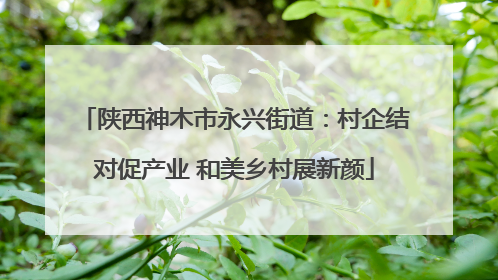 陕西神木市永兴街道：村企结对促产业 和美乡村展新颜