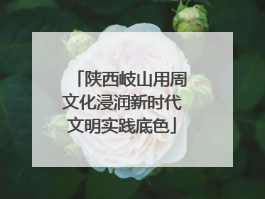 陕西岐山用周文化浸润新时代文明实践底色