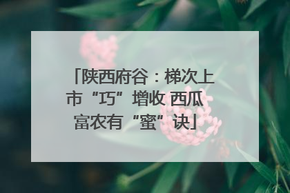 陕西府谷：梯次上市“巧”增收 西瓜富农有“蜜”诀