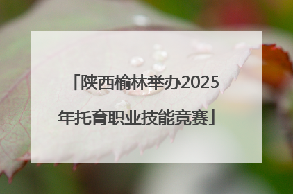 陕西榆林举办2025年托育职业技能竞赛