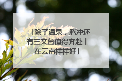 除了温泉，腾冲还有三文鱼值得奔赴丨在云南样样好