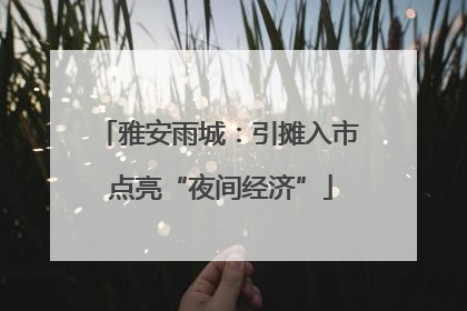 雅安雨城：引摊入市 点亮“夜间经济”