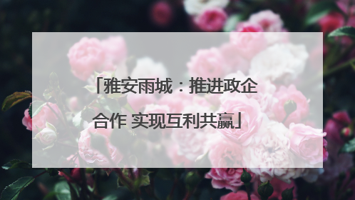 雅安雨城：推进政企合作 实现互利共赢