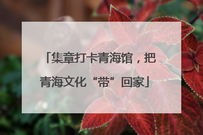 集章打卡青海馆，把青海文化“带”回家