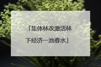 集体林改激活林下经济一池春水