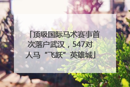 顶级国际马术赛事首次落户武汉，547对人马“飞跃”英雄城