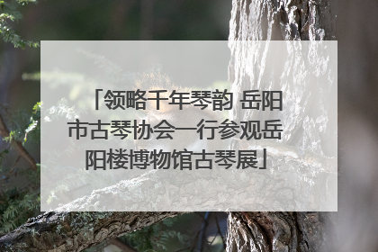 领略千年琴韵 岳阳市古琴协会一行参观岳阳楼博物馆古琴展