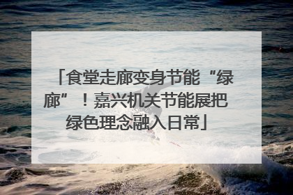 食堂走廊变身节能“绿廊”！嘉兴机关节能展把绿色理念融入日常