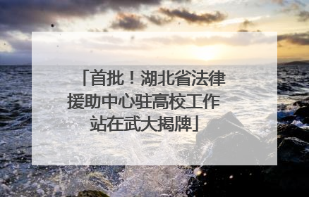 首批！湖北省法律援助中心驻高校工作站在武大揭牌