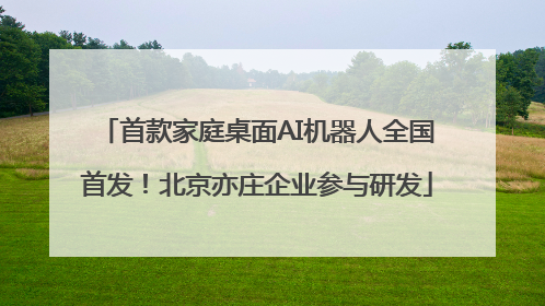 首款家庭桌面AI机器人全国首发！北京亦庄企业参与研发