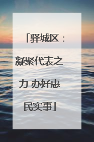 驿城区：凝聚代表之力 办好惠民实事