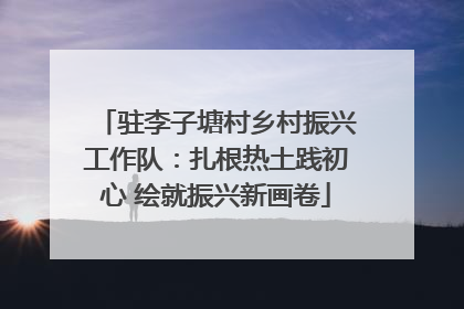 驻李子塘村乡村振兴工作队：扎根热土践初心 绘就振兴新画卷
