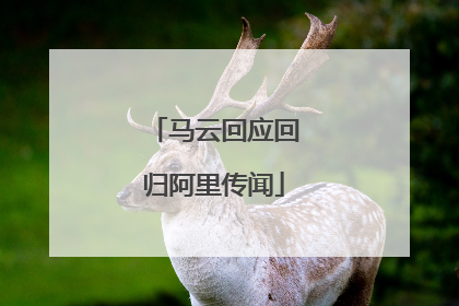 马云回应回归阿里传闻