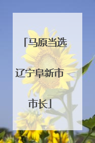 马原当选辽宁阜新市市长