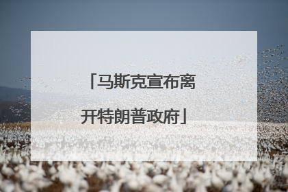 马斯克宣布离开特朗普政府