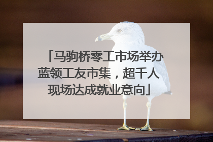马驹桥零工市场举办蓝领工友市集，超千人现场达成就业意向