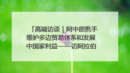 高端访谈｜阿中愿携手维护多边贸易体系和发展中国家利益——访阿拉伯议会议长亚马希
