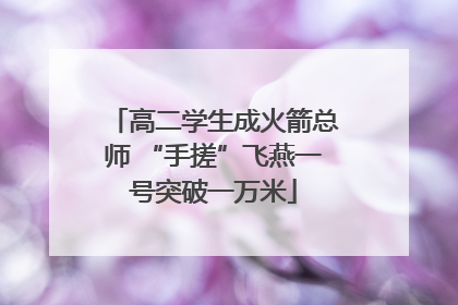 高二学生成火箭总师 “手搓”飞燕一号突破一万米
