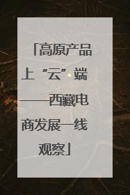 高原产品上“云”端——西藏电商发展一线观察