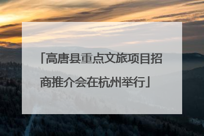 高唐县重点文旅项目招商推介会在杭州举行