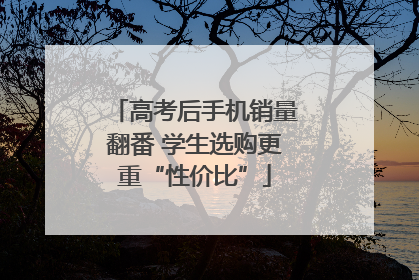 高考后手机销量翻番 学生选购更重“性价比”