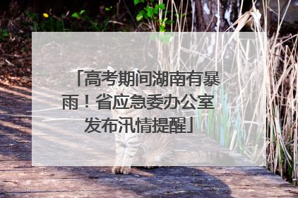 高考期间湖南有暴雨！省应急委办公室发布汛情提醒