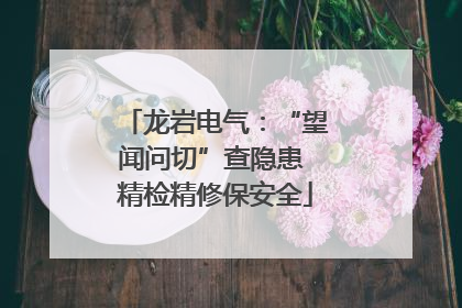 龙岩电气：“望闻问切”查隐患 精检精修保安全