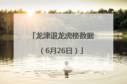 龙津退龙虎榜数据（6月26日）