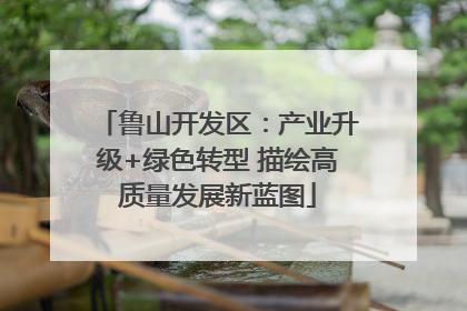 鲁山开发区：产业升级+绿色转型 描绘高质量发展新蓝图