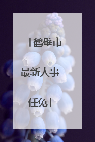 鹤壁市最新人事任免
