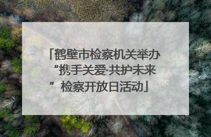 鹤壁市检察机关举办“携手关爱·共护未来”检察开放日活动