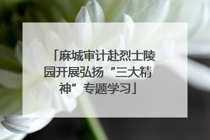 麻城审计赴烈士陵园开展弘扬“三大精神”专题学习