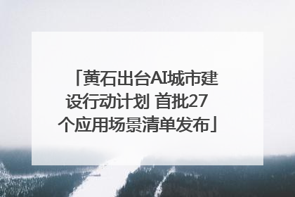 黄石出台AI城市建设行动计划 首批27个应用场景清单发布