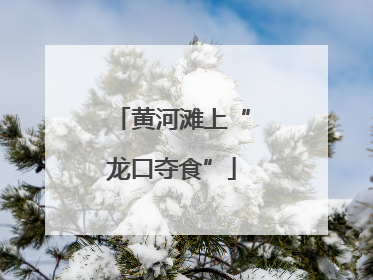 黄河滩上“龙口夺食”