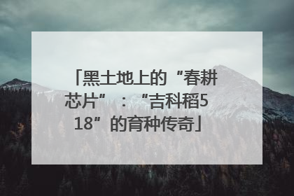 黑土地上的“春耕芯片”：“吉科稻518”的育种传奇
