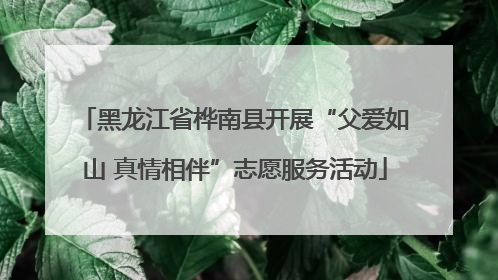 黑龙江省桦南县开展“父爱如山 真情相伴”志愿服务活动